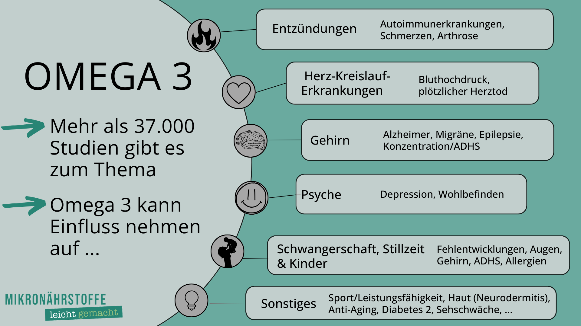 Omega 3 leicht gemacht Mikronährstoffe leicht gemacht