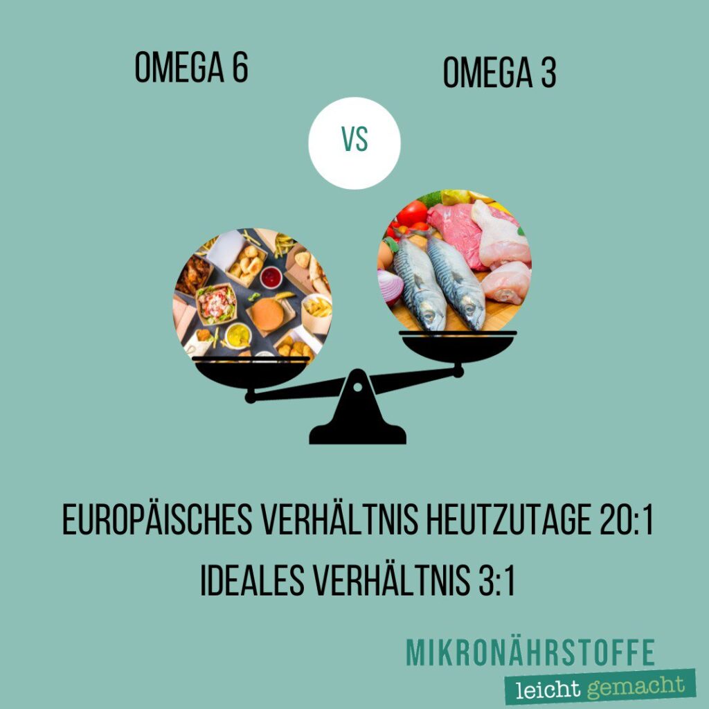 Omega 3 Bedarf Mikronährstoffe leicht gemacht